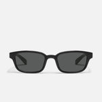 BLACK/SMOKE POLARIZED
