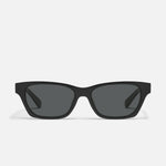 BLACK/SMOKE POLARIZED