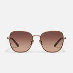 CHOCOLATE/BROWN FAWN